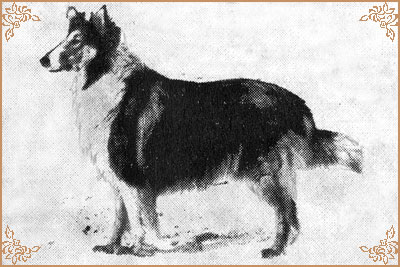 Джуэлла, Dzhuella (b.1966)