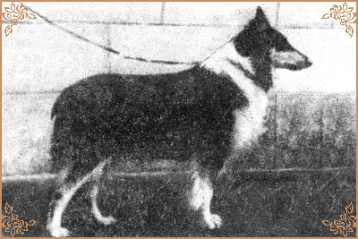 Елита, Elita (b.1954)