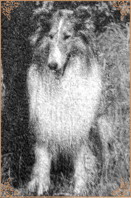 Enzio vom Bergfrieden