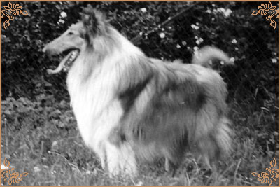 Esgire ze Stribrne Zatoky