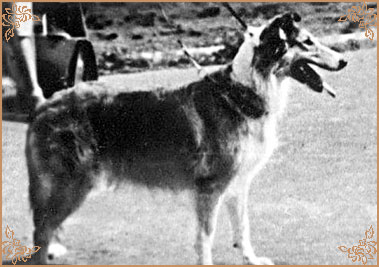 Ева, Eva (b.1968)