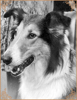 Ева, Eva (b.1968)