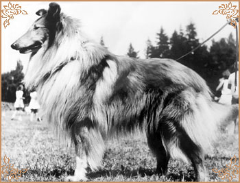 Fatim vom Haus Marwei