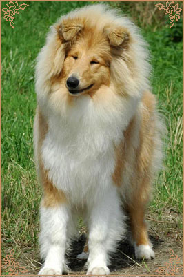 Jaybid Simply Heart`N`Soul