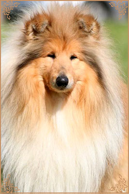 Jaybid Simply Heart`N`Soul