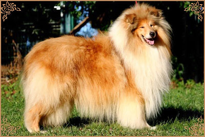 Jaybid Simply Heart`N`Soul