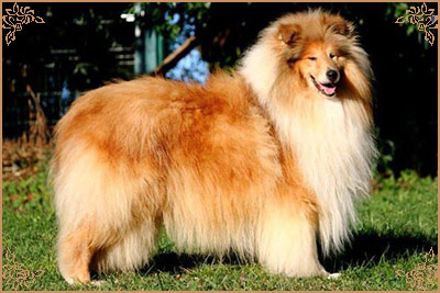 Jaybid Simply Heart`N`Soul