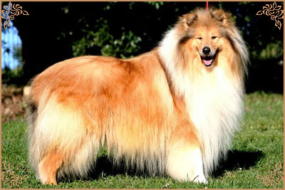 Jaybid Simply Heart`N`Soul