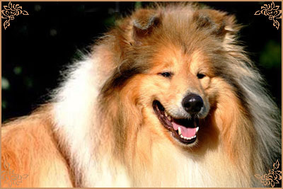 Jaybid Simply Heart`N`Soul