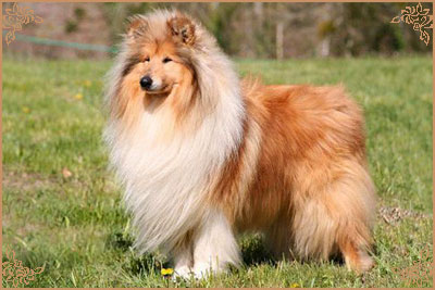 Jaybid Simply Heart`N`Soul