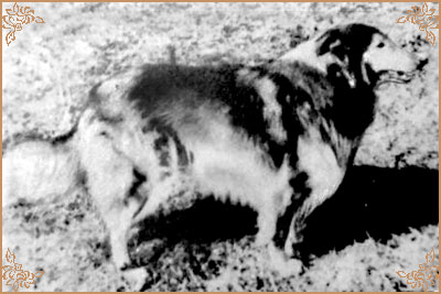 Карион, Karion(b.1950)