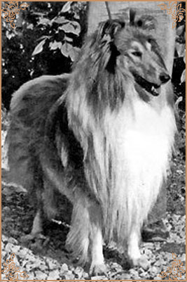 Llano Golden de Mandailles