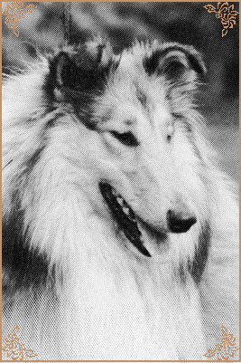 Naughty Sylvia of the Noble Heart