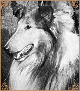 Parader`s Country Squire