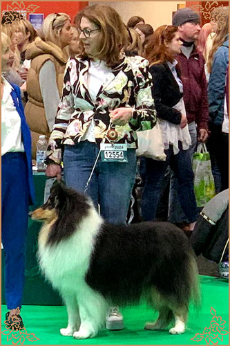 Phreelancer Phaith Hill, Crufts Winners