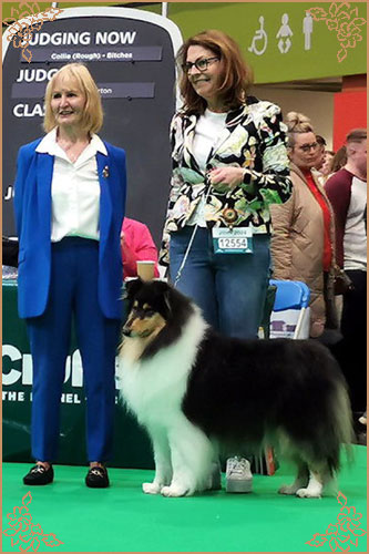 Phreelancer Phaith Hill, Crufts Winners