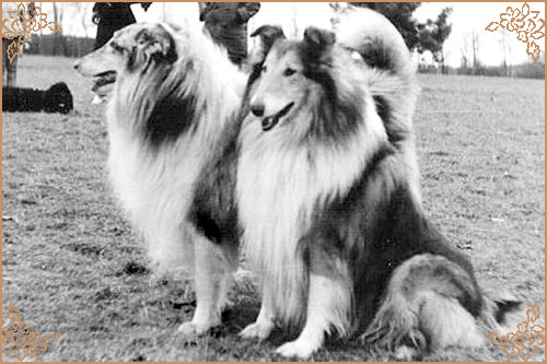 Quincy Blue ze Stribrne Zatoky