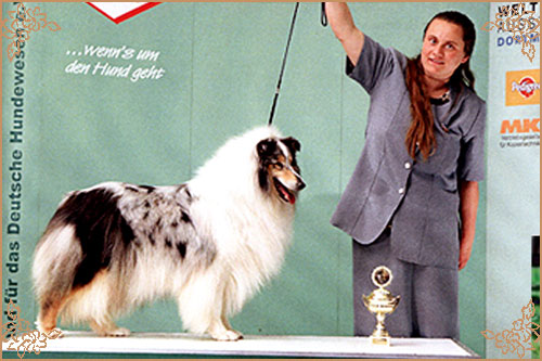 Rineweld Awantgarde at Sheewenna