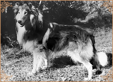 Rugless z Gatebeckparku