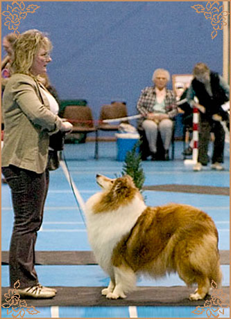 Samhaven Forgotten Charm, Crufts Winners