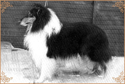 Surfing`s Black Viktorious Progress