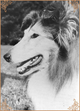 Tina vom Bienenfleiss