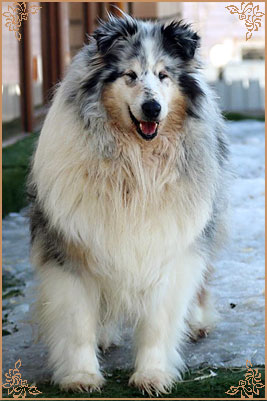 Топаз эт Монсолана с Янтарного Берега, Topaz at Monsolana s Jantarnogo Berega