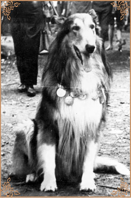 Троль, Trol (b.1965)