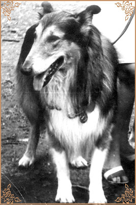 Троль, Trol (b.1965)