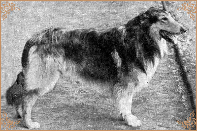 Троль, Trol (b.1965)