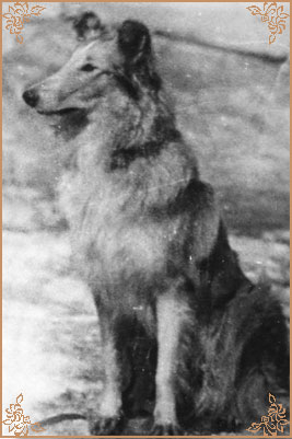 Вар-Кенни, Var-Kenni