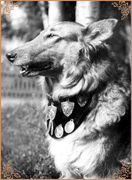 Вар-Кенни, Var-Kenni