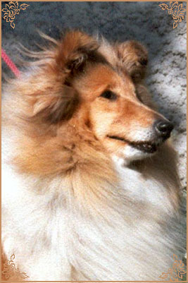 Wassail Annie`s Song