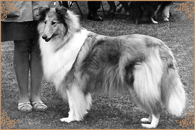 Westlynns Witchcraft