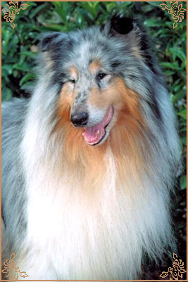 Winter Sky Blue de Frank Rough