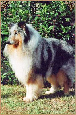 Winter Sky Blue de Frank Rough