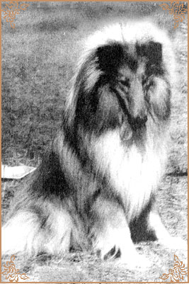 Визор Фанзай, Wizor Fanzaj