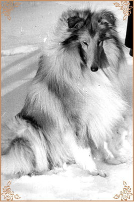 Визор Фанзай, Wizor Fanzaj