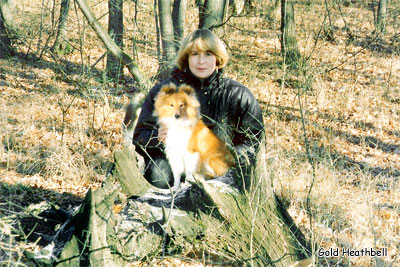 наши милые собаки, фото шелти, Черилдин Церенова