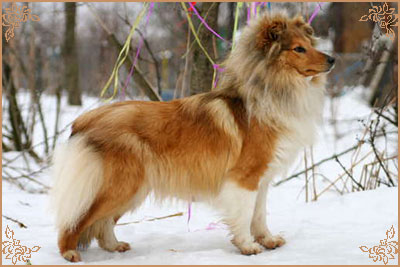 Арт Филисити Флоренция, Art Felicity Florencia