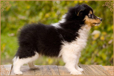 Арт Филисити Фригоза, Art Felicity Frigoza