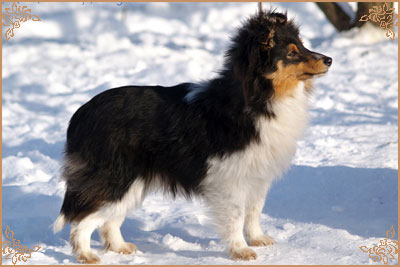 Арт Филисити Фригоза, Art Felicity Frigoza