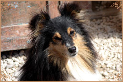 Арт Филисити Фригоза, Art Felicity Frigoza