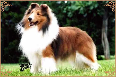 Ilemist As You Like It