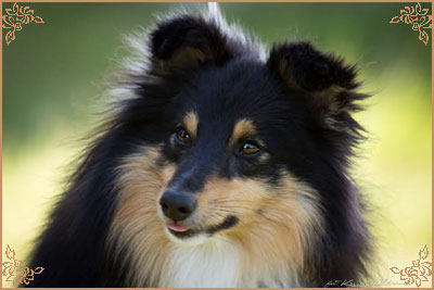 Lavika For Lucy With Love