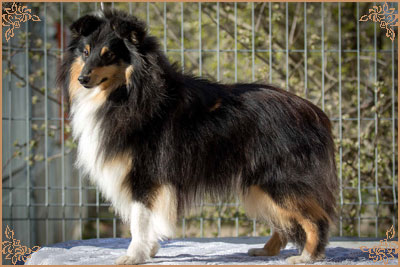 Lavika For Lucy With Love