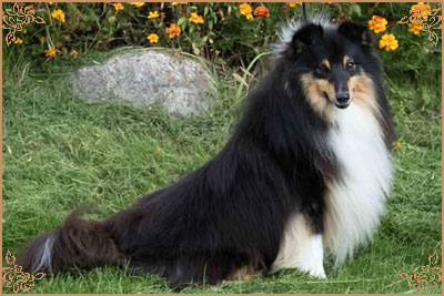 Lavika For Lucy With Love