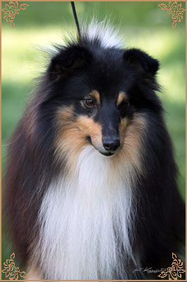 Lavika For Lucy With Love