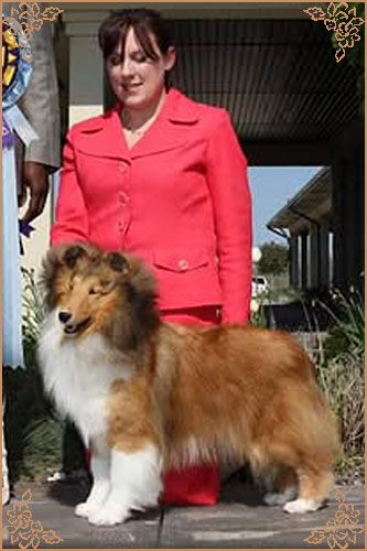 Lynphil Sunshine Girl