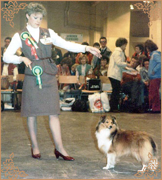 Mohnesee Sweet Reflection, Crufts Winners